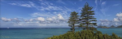 Lord Howe Island - NSW H (PBH4 00 11769)